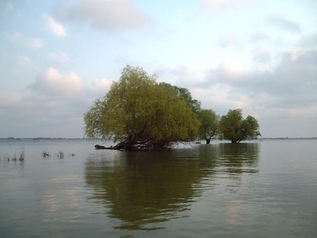 Doar ... NATURA - 3 - sany5319.JPG